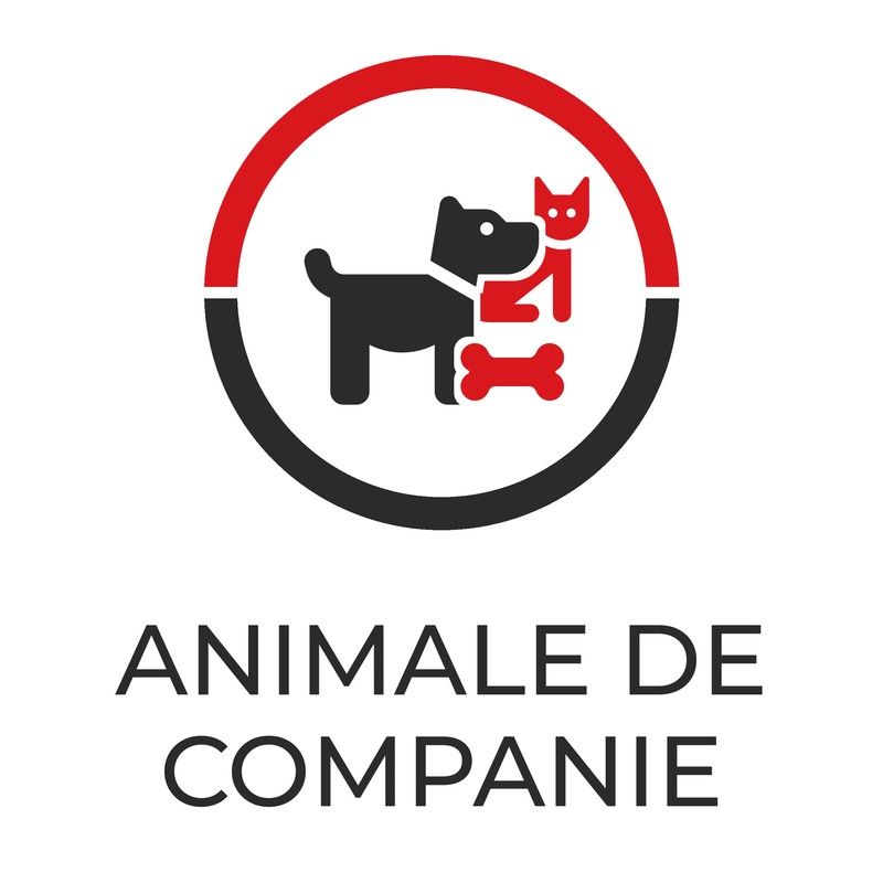 Animale de companie, îngrijire și accesorii