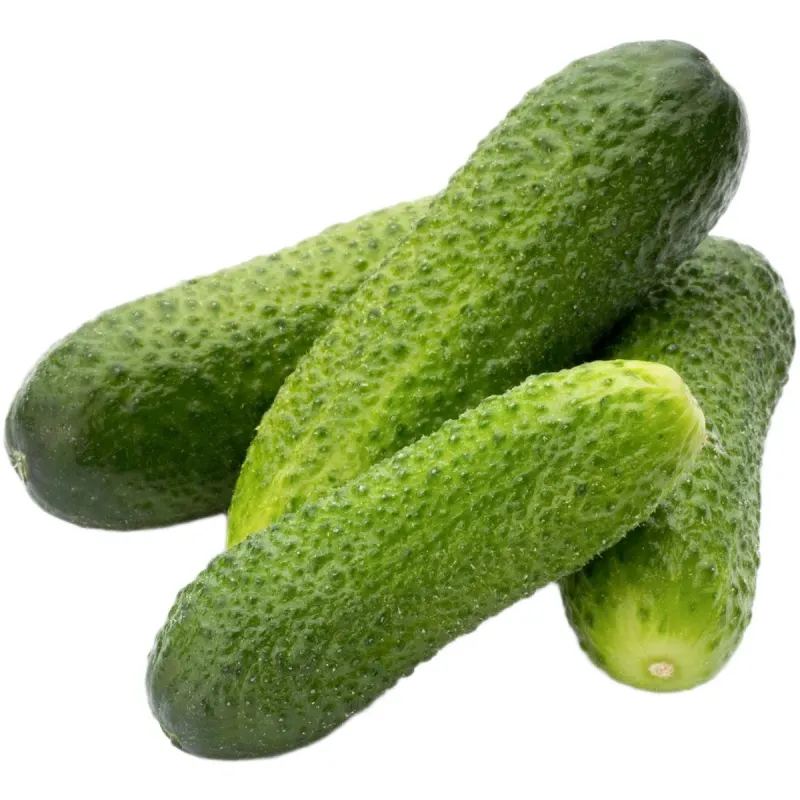 Imagine pentru Castraveți cornichon, 500 g