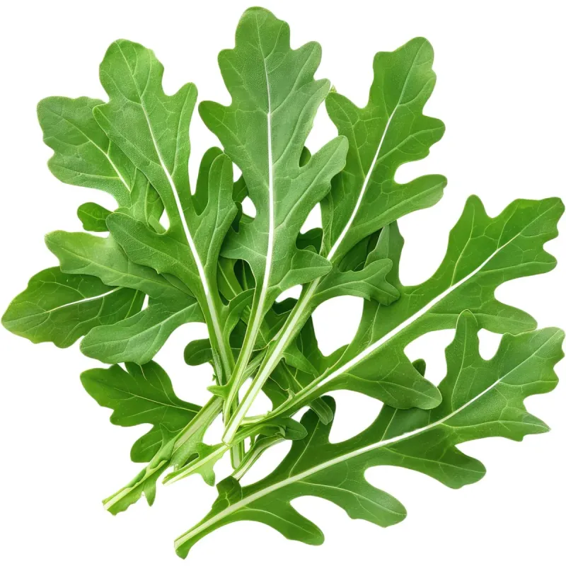 Imagine pentru Rucola ECO Auchan, 100 g