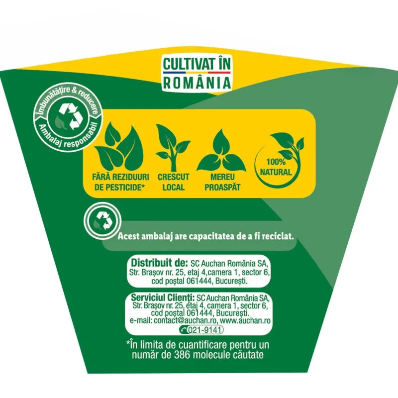 Imaginea numarul 2 reprezentatand Mentă in ghiveci Auchan