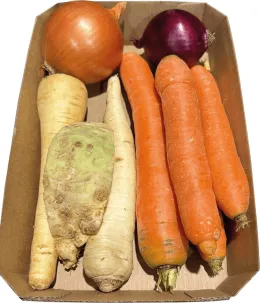 Imagine pentru Legume la caserolă: ceapă, morcov, telina, pastarnac, radacina pătrunjel, 1 kg din aceiasi categorie