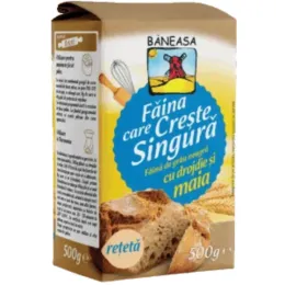 Imagine pentru Faina neagra Drojdie&Maia Baneasa 500G din aceiasi categorie