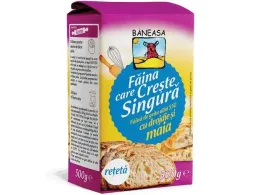 Imagine pentru Faina Drojdie&Maia Baneasa 500G din aceiasi categorie