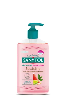 Imagine pentru Sapun lichid Antibacterian Sanytol bucatarie, 250ml din aceiasi categorie