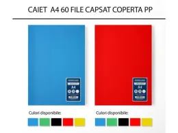 Imagine pentru Caiet dictando A4 Paperland, 60 file din aceiasi categorie