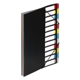 Imagine pentru Separator A4 cu 12 compartimente, Multicolor din aceiasi categorie