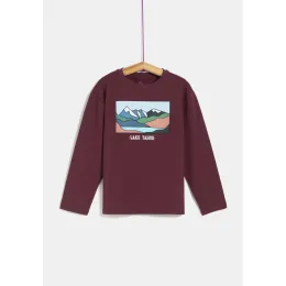 Imagine pentru Tricou TEX baieti 3/14 ani din aceiasi categorie