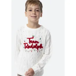 Imagine pentru Pulover TEX copii Craciun 3/14 ani din aceiasi categorie