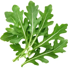 Imagine pentru Rucola ECO Auchan, 100 g din aceiasi categorie